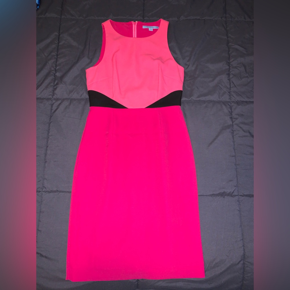 Antonio Melani Sheath Dress